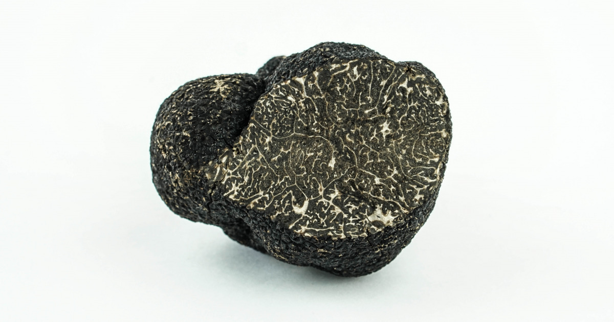 Truffe Noire fraiche - Tuber Melanosporum
