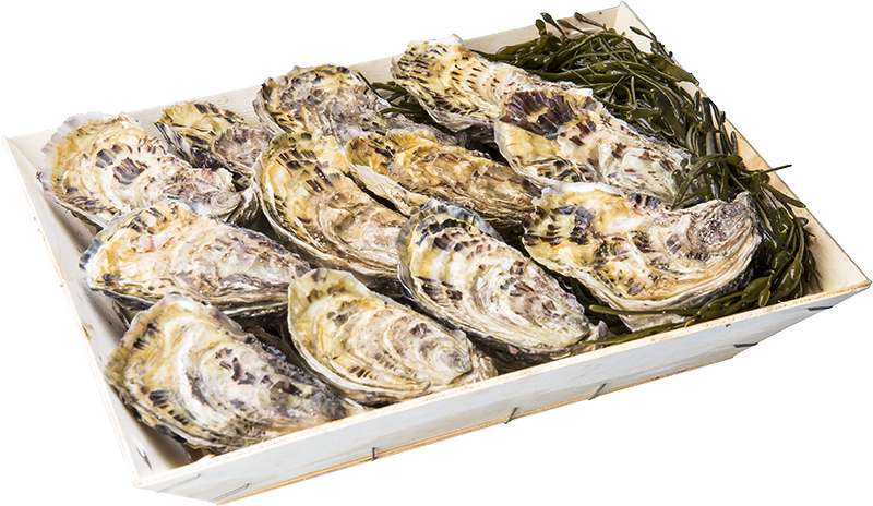 Huîtres de Saint-Riom N°3 - bourriche de 12 pièces (1 douzaine) - Pourdebon