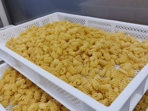[Précommande] Pâtes Fraîches - Radiatori Bio - 1kg