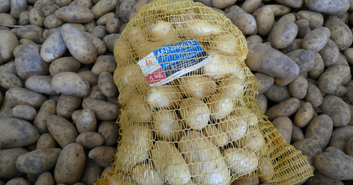 Pomme de terre nouvelle chair ferme Annabelle 2,5Kg — free download