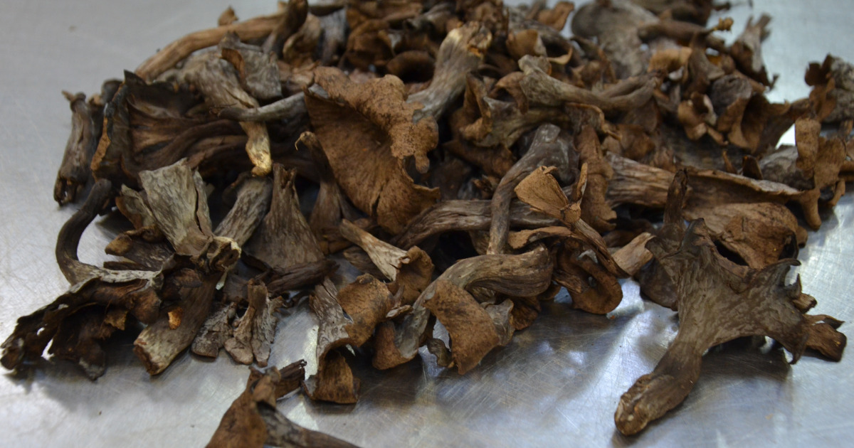 Cuisson Trompette De La Mort Fraîches