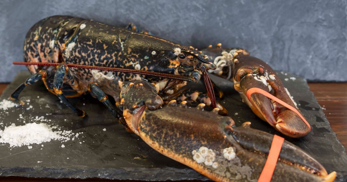 Homard Breton - 600/800g (1 Pièce)