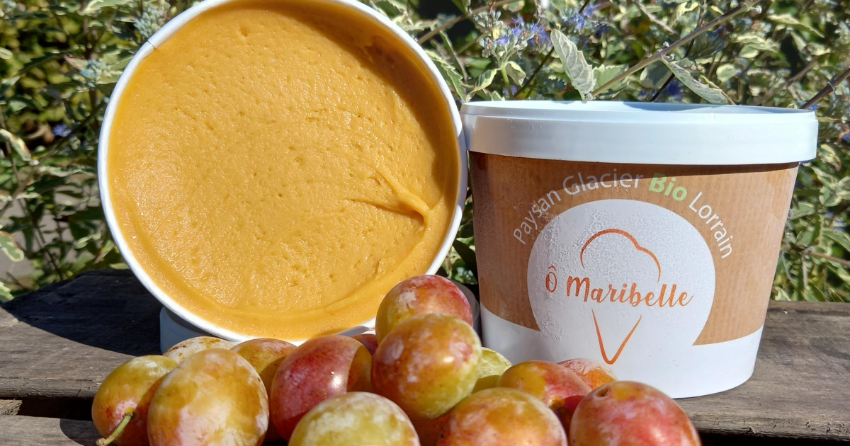 Sorbet Mirabelle BIO 500 ml