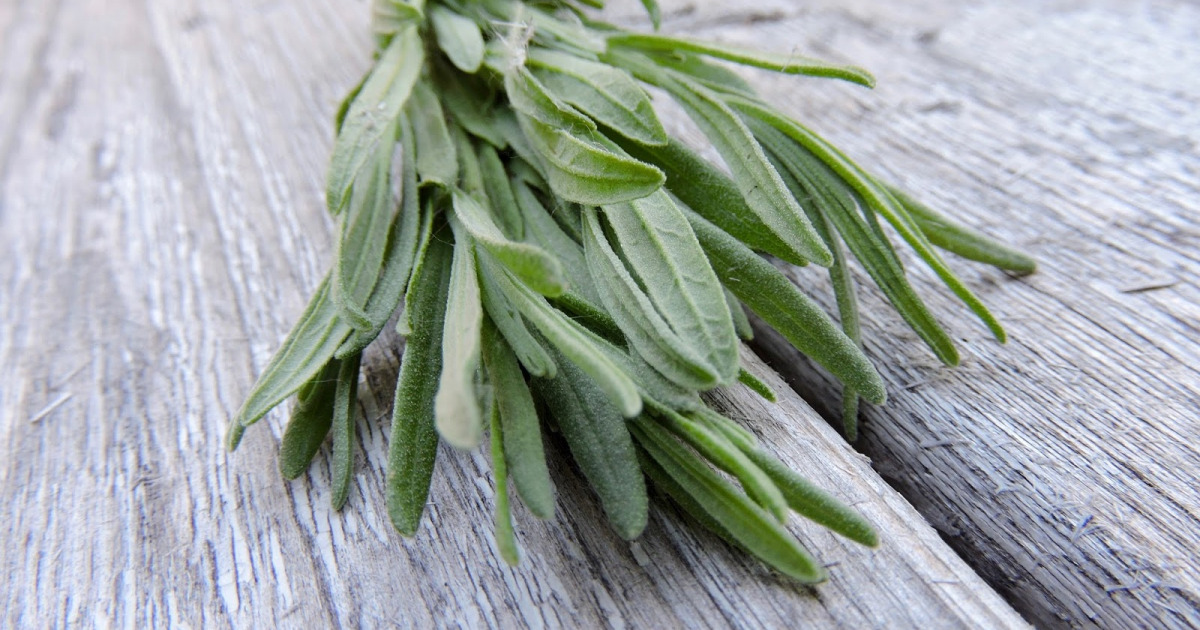 Herbe De Lavande Séchée - 50 G - Marque Ziółko - Neuf - Pour Infusion Et Bien-être