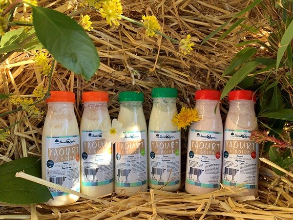 Yaourts Boire Fruit s X6 yaourts-boire-fruit-s-x6