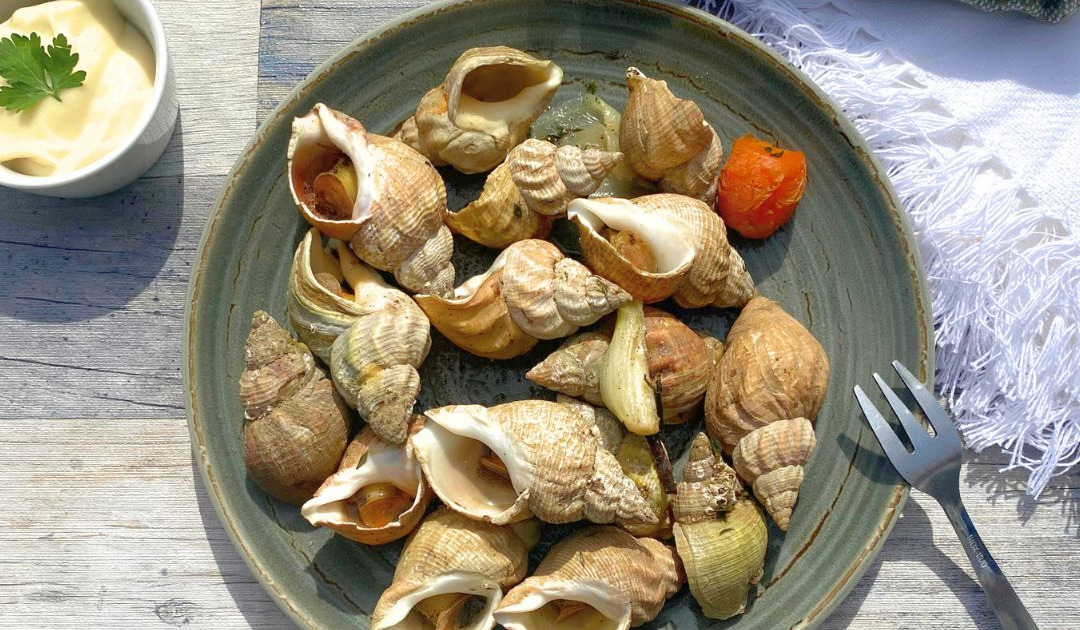 Bulots Cuits - Sachet De 1kg