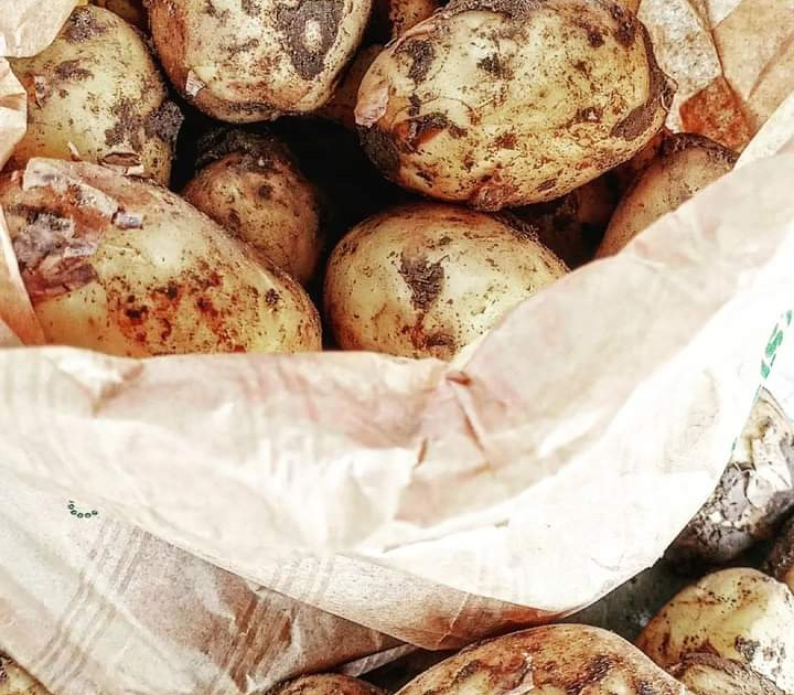 Pommes de terre nouvelles Adora - 1Kg