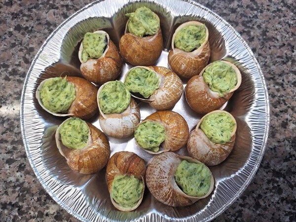 12 COQUILLES ESCARGOTS GODETS COULEUR CLAIRE GRISE