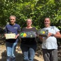 Les&#x20;Hesp&#x00E9;rides&#x20;-&#x20;Coop&#x00E9;rative&#x20;de&#x20;la&#x20;Riviera&#x20;Fran&#x00E7;aise