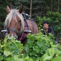 Domaine Céline Coté