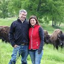 Bisons d'Auvergne