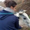 Ferme&#x20;Ho&#x27;Rocher