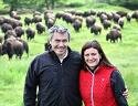 Bisons&#x20;d&#x27;Auvergne