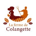 Les framboises de Colangette