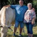 Saveurs Paysannes Charentaises