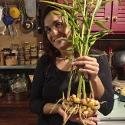 Les Jus Bio De L'Attirail