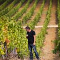 Domaine&#x20;de&#x20;Terra&#x20;Vecchia&#x20;-&#x20;Clos&#x20;Poggiale&#x20;-&#x20;Brasserie&#x20;Kiara