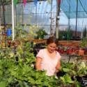 Le&#x20;Potager&#x20;Flottant