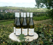 Sancerre Doudeau-Leger - Vent d'Ange - Vin de Pays du Val de Loire Blanc IGP 2020 - 6 Bouteilles