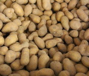 La Ferme du Logis - Pommes de terre Pompadour - 1 Kg
