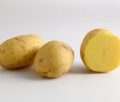 Maison Bayard - Pommes De Terre Excellency - 5kg