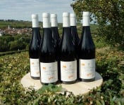 Sancerre Doudeau-Leger - Vent d'Ange - Vin de Pays du Val de Loire Rouge IGP 2020 - 6 Bouteilles