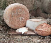 La ferme Lassalle - Fromage de Brebis AOP Ossau-Iraty Fermier de Printemps - le quart de 1kg