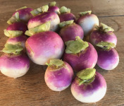 La Ferme du Polder Saint-Michel - Navet violet Bio 1kg