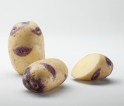 Maison Bayard - Pommes De Terre Blue Belle - 5kg