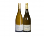 Domaine Tupinier Philippe - 1 Bouteille Bourgogne Blanc Vieilles Vignes 2019 et 1 bouteille de Chablis 2019