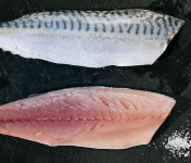 Côté Fish - Mon poisson direct pêcheurs - Filets De Maquereaux 300g