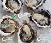 Camargue Coquillages - La Perle De Camargue N°3  Huîtres Creuses - 3 Douzaines