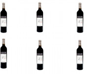 Domaine de Bilé - IGP Vin Côtes de Gascogne Rouge Vendanges Mains - 6 Bouteilles de 37,5 cl
