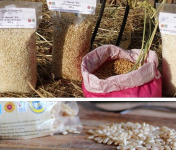 Les Délices du Scamandre - Riz Bio "Manobi" IGP Riz de Camargue : Semi-complet 10kg et Complet 10kg