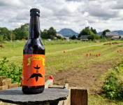 Safran des Volcans - Safran'Ale 33cl - Bière au safran Bio