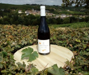 Sancerre Doudeau-Leger - Vent d'Ange - Vin de Pays du Val de Loire Rouge IGP 2020 - 1 Bouteille