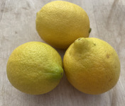 Le Potager de Sainte-Hélène - Citron primofiori bio de Sicile x 3