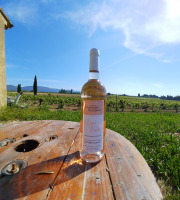 Domaine Les Conques Soulière - Vin Rosé Fruité IGP Méditerranée
