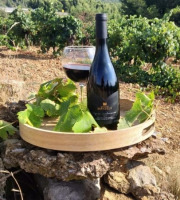 Domaine Miradels - AOC Corbières - Vignes Centenaires Domaine Miradels 2017 - 3 bouteilles