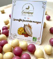 Cocoripop - soufflés mangue framboise 100g