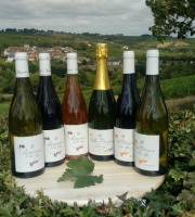 Sancerre Doudeau-Leger - Coffret Découverte Des Vins Doudeau-léger - 6 Bouteilles