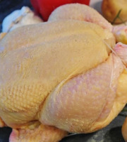 La Coussoyote - Jeune poulette de chair entière PAC - 1,2kg