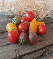 Les Jardins de Gérard - Tomate cerise méli-mélo Bio - 1 kg