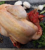 Volailles BIO Galichet - 2 poulets Fermiers Bio de 2.1kg, 4 cuisses de 350g, 4 filets de 200g (6.4kg au total)