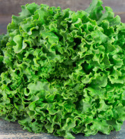 La Boite à Herbes - Salade Batavia Verte Bio