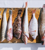 Côté Fish - Mon poisson direct pêcheurs - Box de la mer spéciale Bouillabaisse - 3 personnes
