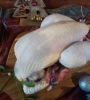 Les poulets de la Marquise - [Précommande] Poularde fermière - moyenne - 2,5kg minimum