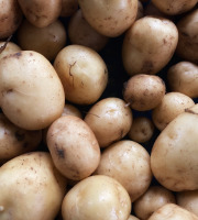 La Ferme d'Artaud - Pommes de terre nouvelles 1kg