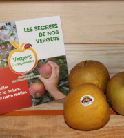 Le Châtaignier - Pommes Bertanne - Colis 8 Kg
