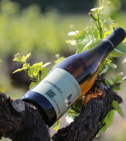 Domaine Daridan - "L'improbable" Vin Blanc - Romorantin - 2012
